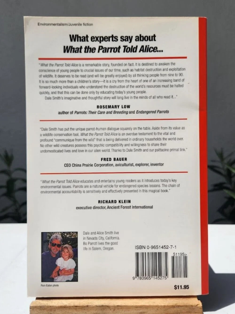 What the Parrot Told Alice Paperback Book by Dale Smith Young Adult Reading Mate